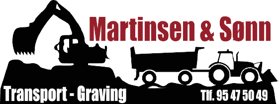 Logo til Martinsen & Sønn